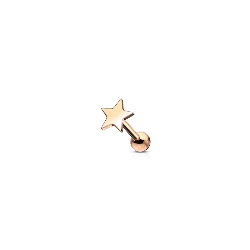 Piercing tragus 6mm avec une étoile 4.99€