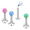 Piercing labret 6mm boule opale filetage interne6,90€