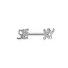 Piercing téton strass 11mm sexy blanc  TET004 5.35€