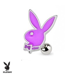 Piercing tragus, hélix 6mm Playboy violet TRA064VI 6.70€
